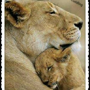 Meet your Posher, Betty