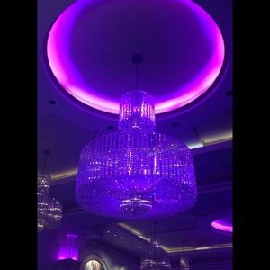 Meet your Posher, Chelsie