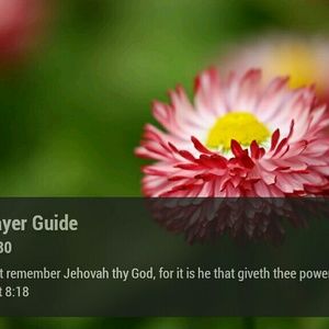 Meet your Posher, Shirley