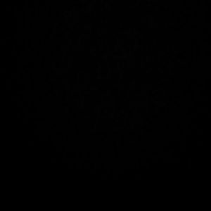 Meet your Posher, Evelyn