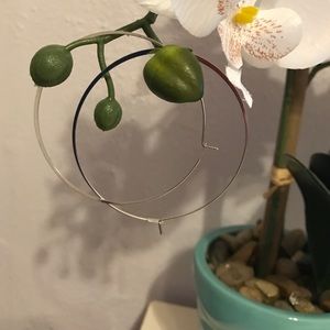 Michael Kors Silvera hoop earrings