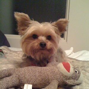 Meet your Posher, Katie