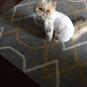 Meet your Posher, Mary