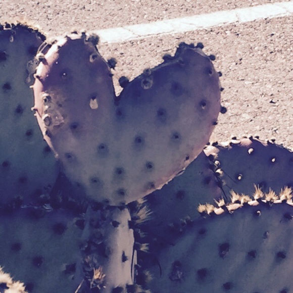 Meet your Posher, Patty - Picture 3 of 4