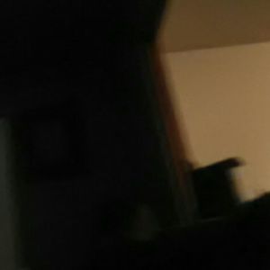 Meet your Posher, Dalton