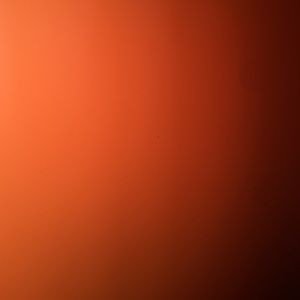 Meet your Posher, Jerry