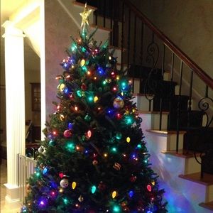 Meet your Posher, Angel