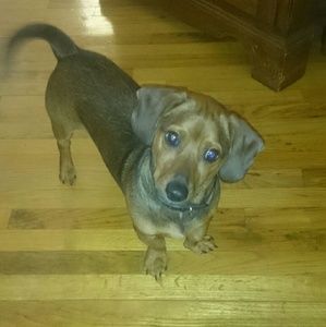 Meet your Posher, Donna