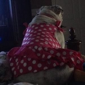 Meet your Posher, Lynna