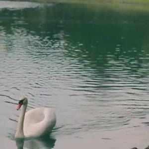 Meet your Posher, Kalie