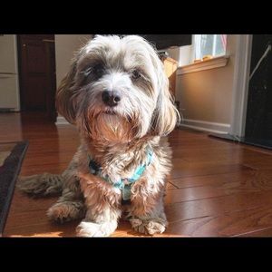 Meet your Posher, Jack