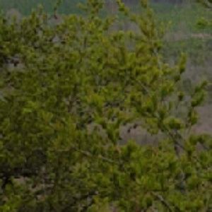 Meet your Posher, Vickie