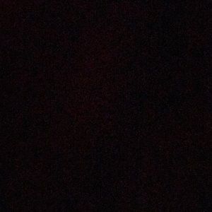 Meet your Posher, Channing