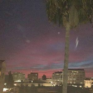 Meet your Posher, Joanne