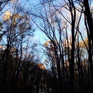 Meet your Posher, Bridget