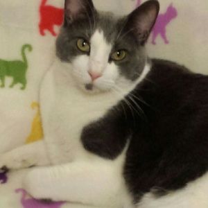 Meet your Posher, Tammy