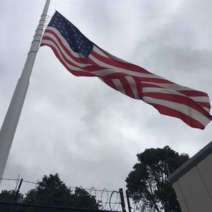 Meet your Posher, Mitzi