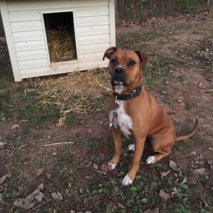 Meet your Posher, Hunter