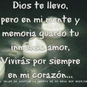 Meet your Posher, Jose