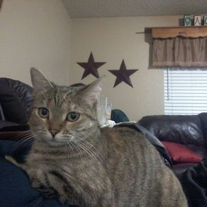 Meet your Posher, Tammy