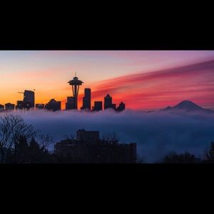 Meet your Posher, Luna