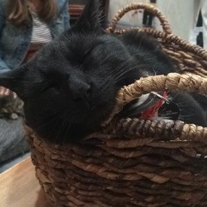 Meet your Posher, Kaitlin