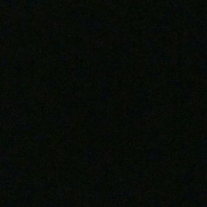 Meet your Posher, Larry