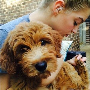 Meet your Posher, Ava