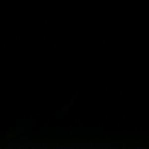 Meet your Posher, Joel