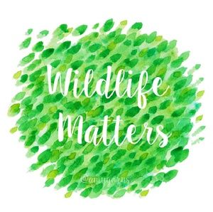 Meet your Posher, Missy