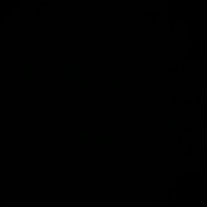 Meet your Posher, Coby