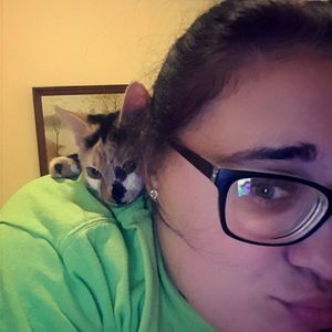 Meet your Posher, Brittney