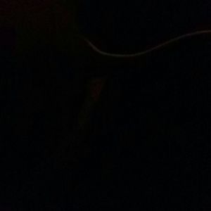 Meet your Posher, Ruby