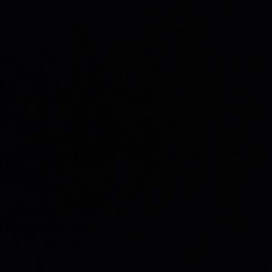 Meet your Posher, Tyann