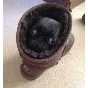 Meet your Posher, Scott