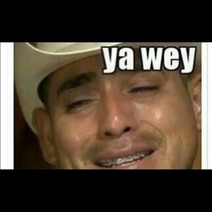 Meet your Posher, Pedro