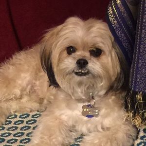 Meet your Posher, Janet