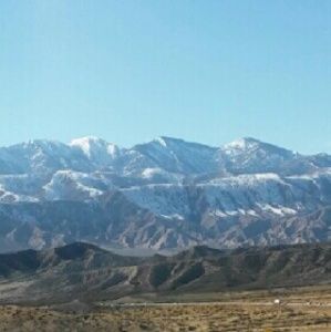 Meet your Posher, Nyah