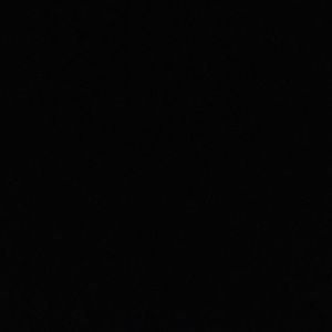 Meet your Posher, Perla