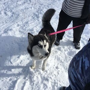 Meet your Posher, Geraldine