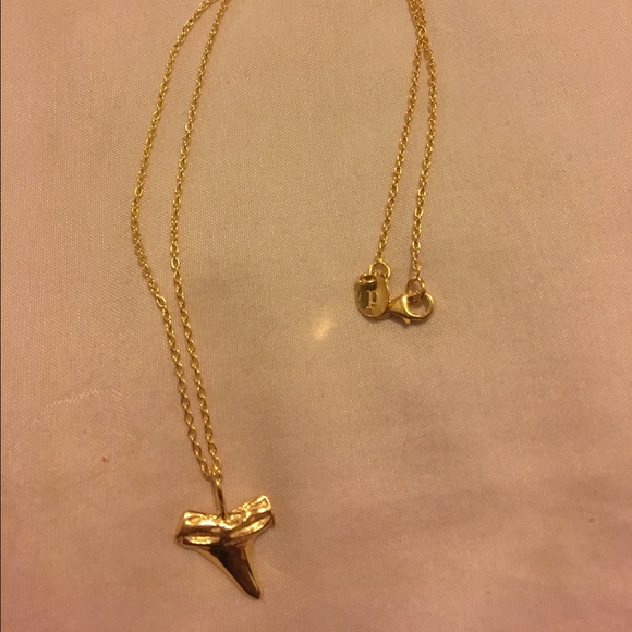 Pura Vida Shark Tooth Necklace