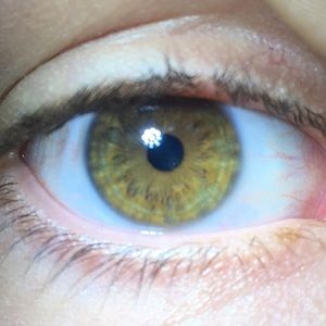 Meet your Posher, Cesar