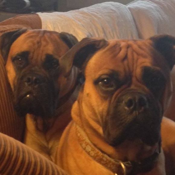 Meet your Posher, Beth