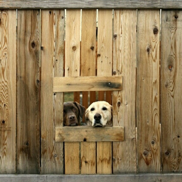 Meet your Posher, Cynthia - Picture 1 of 1