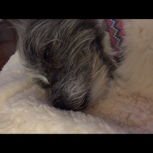 Meet your Posher, Lulu