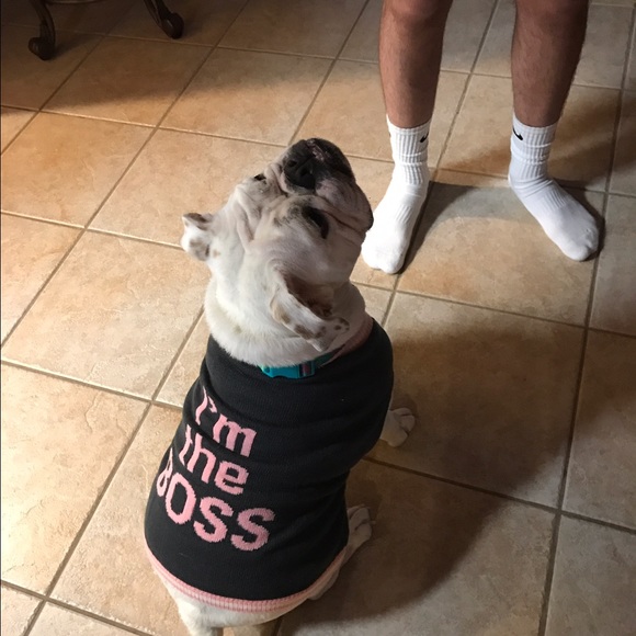 Meet your Posher, Jennifer - Picture 1 of 1