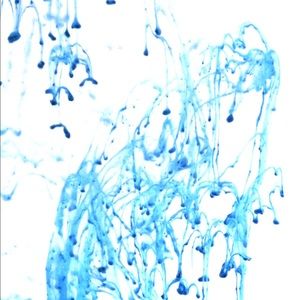 Meet your Posher, Josh