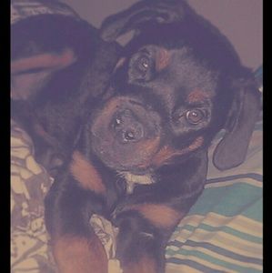 Meet your Posher, Jamie