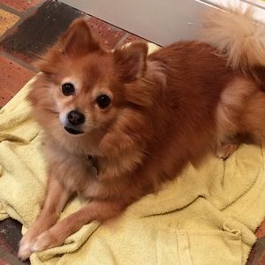 Meet your Posher, Kileigh