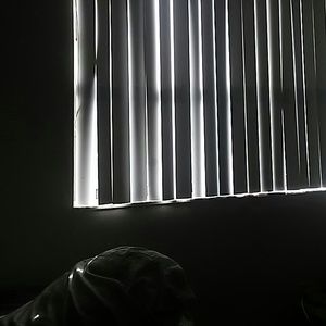 Meet your Posher, Willie